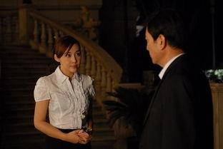 真爱的背后在线观看